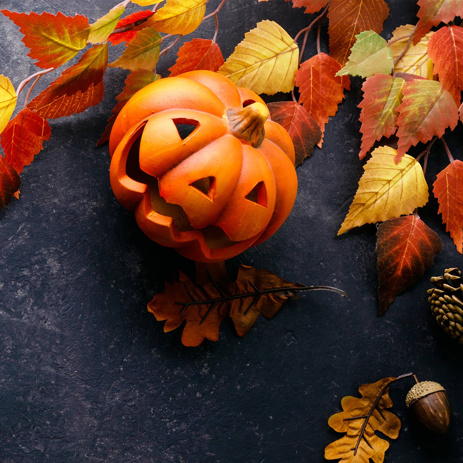 Halloween : Lettrix or Treat !